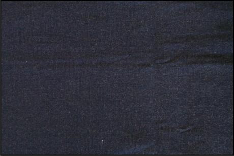 Tesla Denim 201